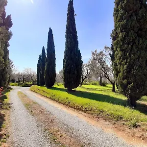 https://appartamento-il-palagio.it-tuscanyhotel.com