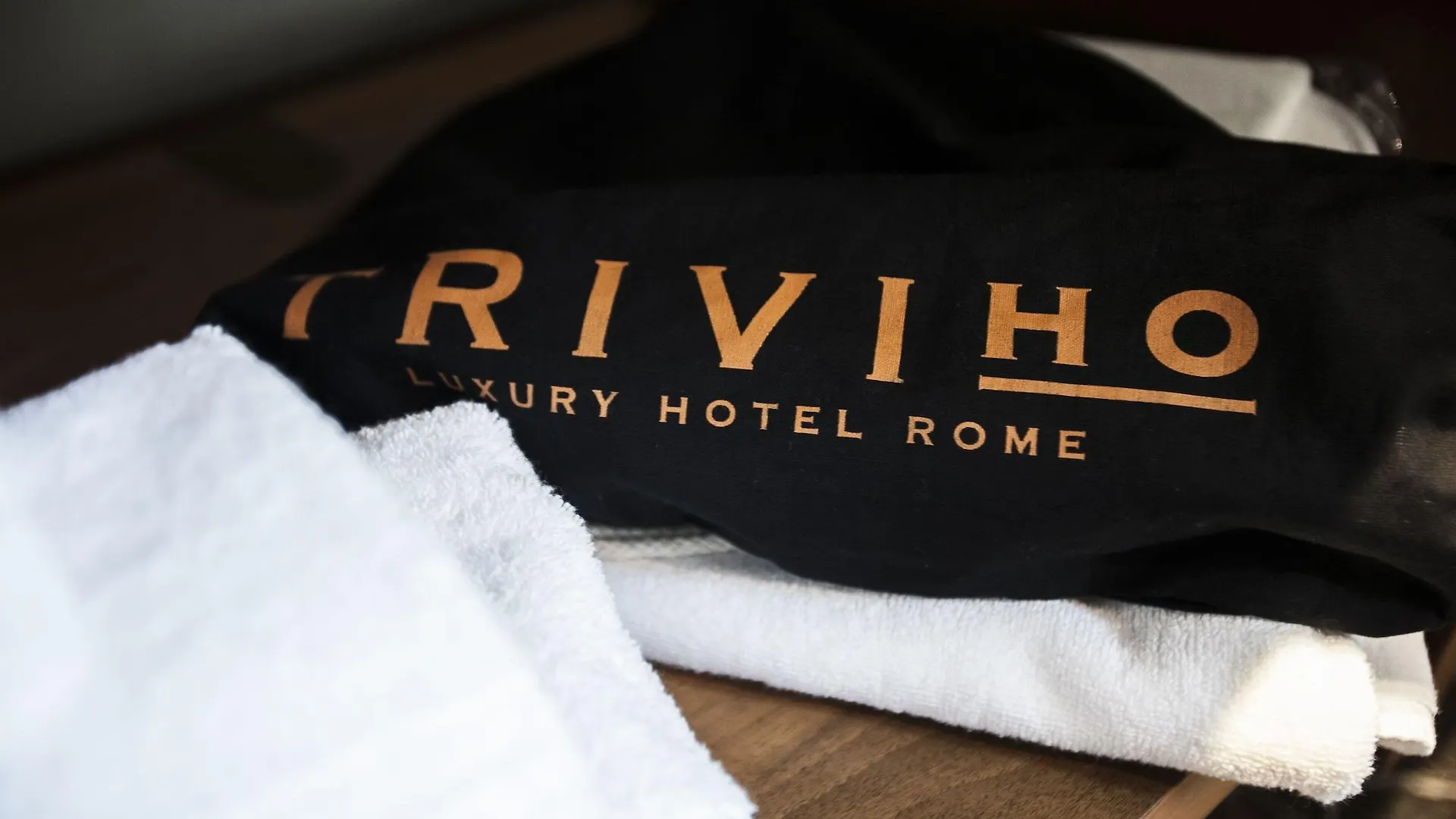Triviho Hotel Rome 3*,
